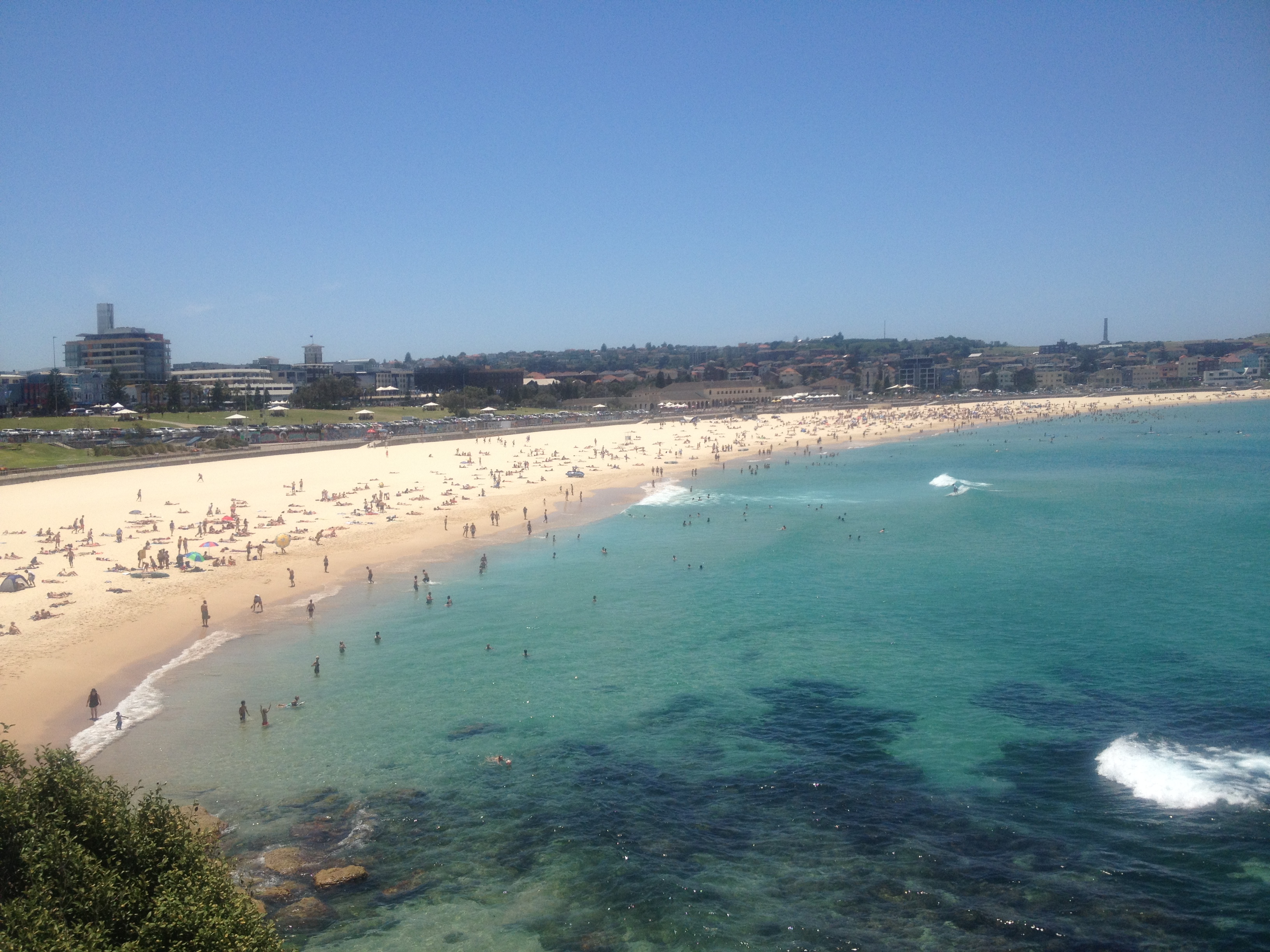 Bondi Beach