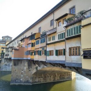 Florence Bare faced Travel