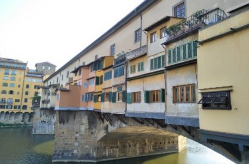 Florence Bare faced Travel