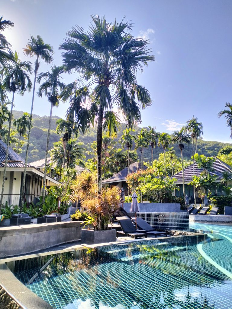 Mandarava Bare Faced Travel